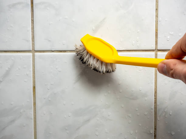Best Residential Mold Remediation in , MS
