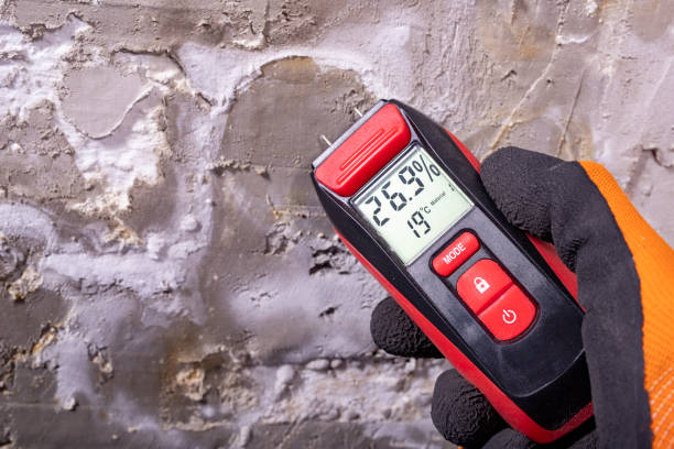 Best Commercial Mold Remediation in , MS